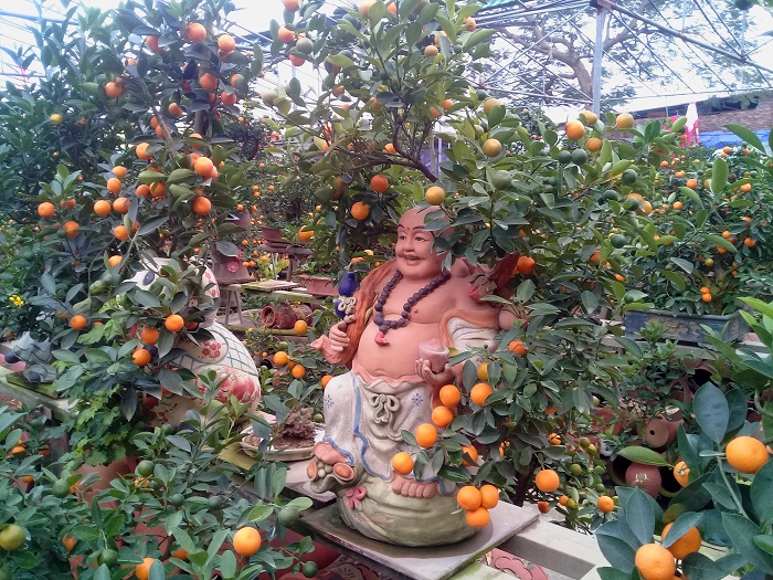 Hà Nội: Độc đáo với quất bonsai trồng trên những chiếc chậu đặc biệt